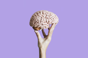 Brain