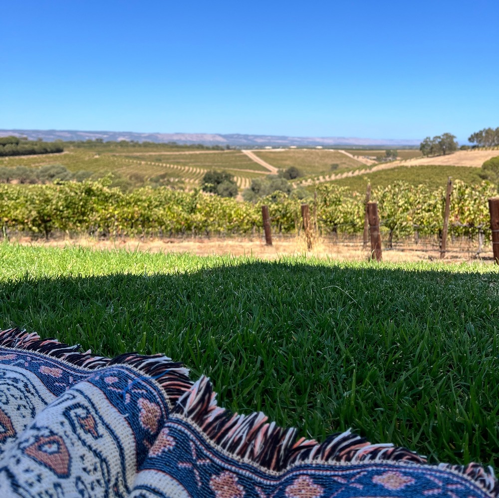 Dandelion-vineyard-picnic