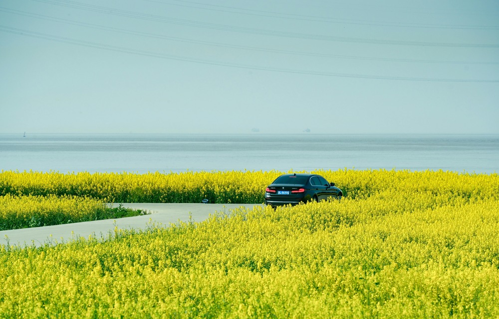 scenic-drive-car