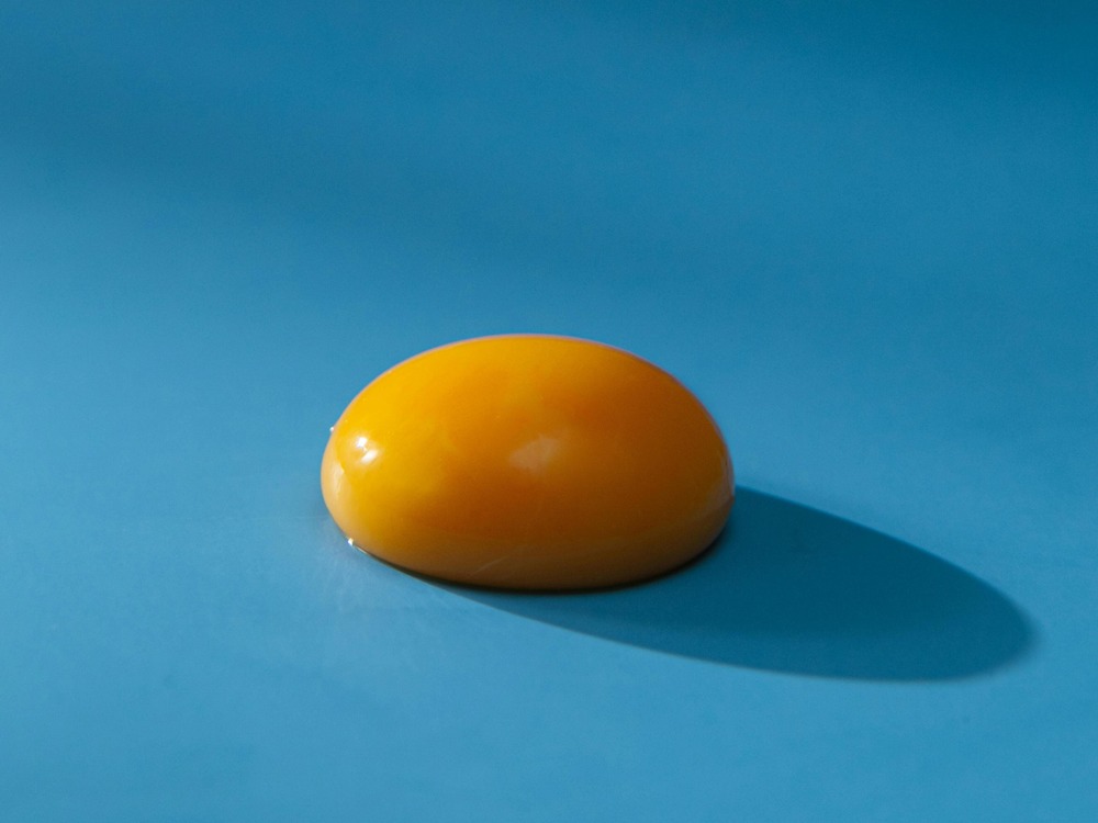 egg-yolk