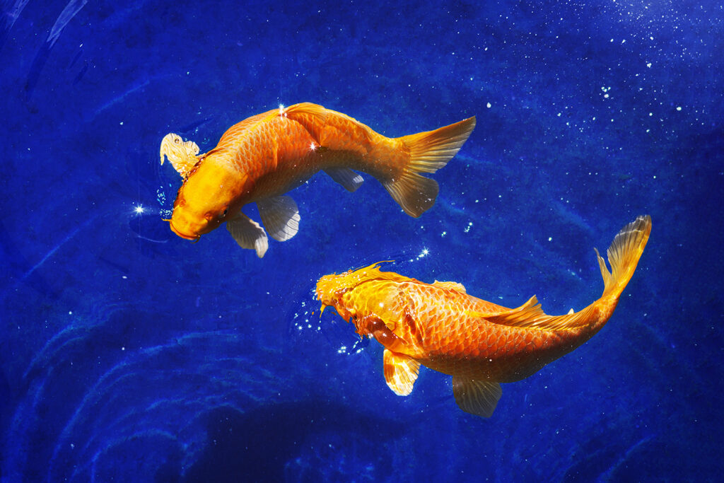 What Your March 2023 Horoscope Has In Store For Your Zodiac Sign, Per An Astrologer
