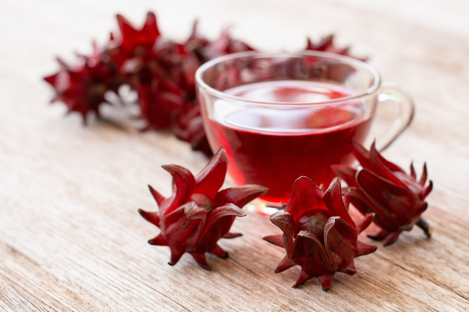 Is This Plant A Secret Weight-Loss Weapon?